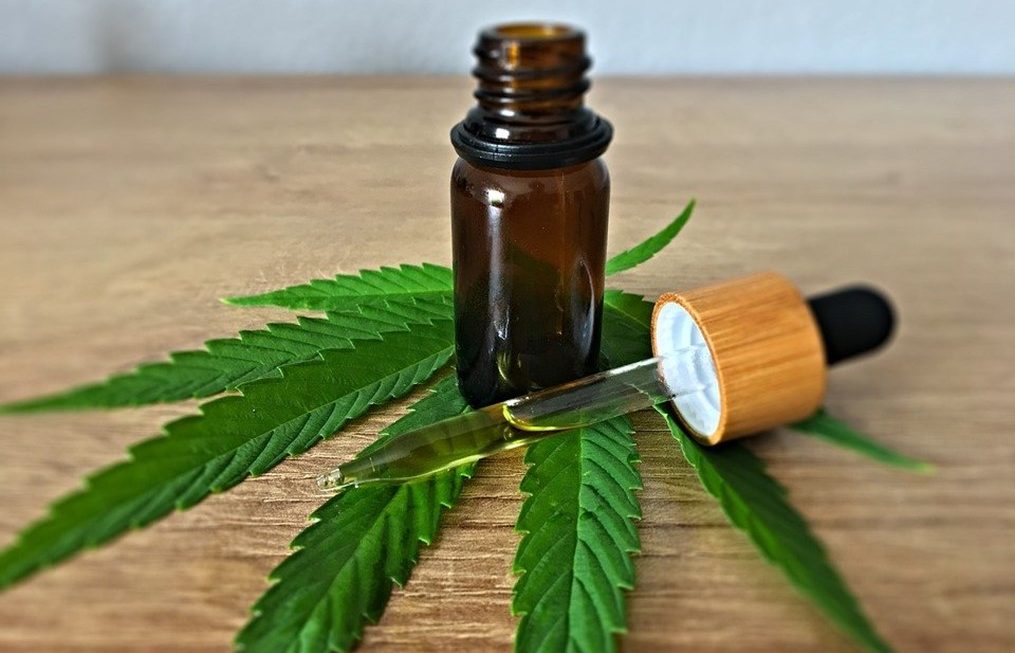 CBD Oil For Dogs – Is It Beneficial?