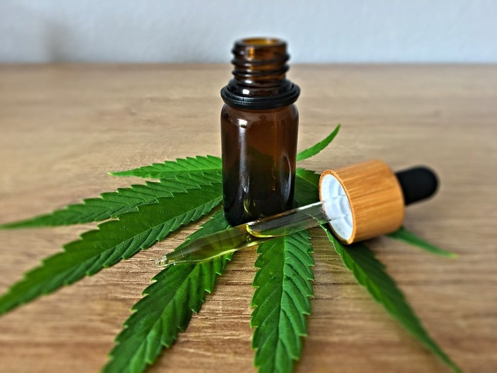 CBD Oil For Dogs