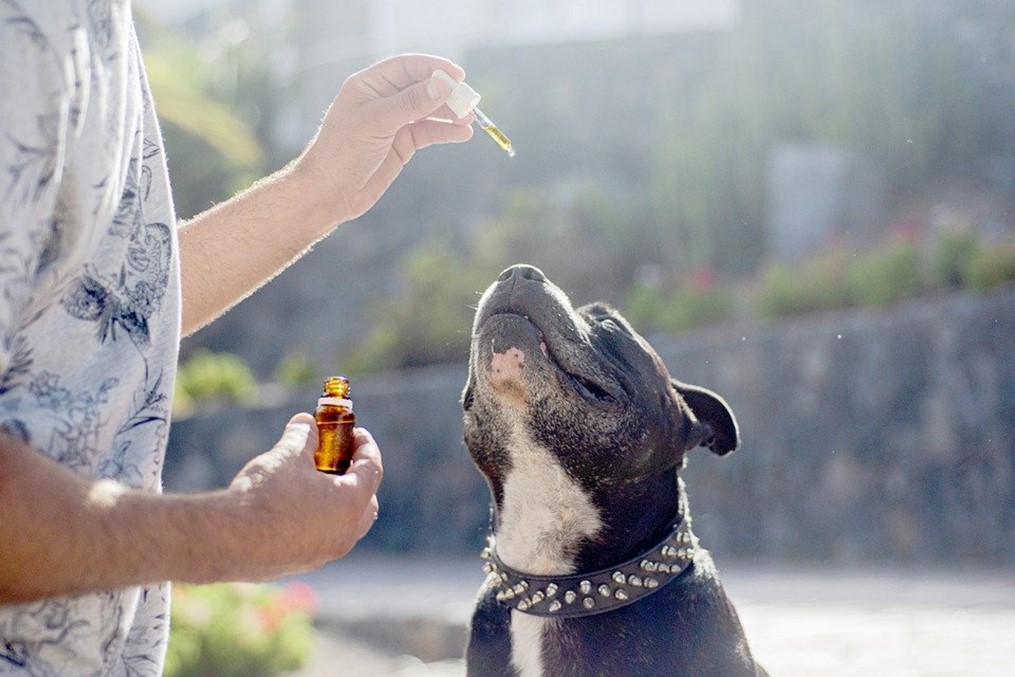 CBD and its benefits