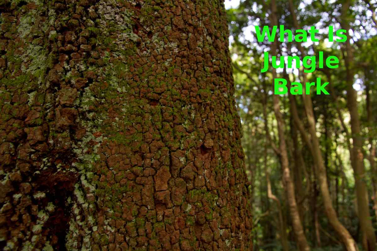 What Is Jungle Bark -