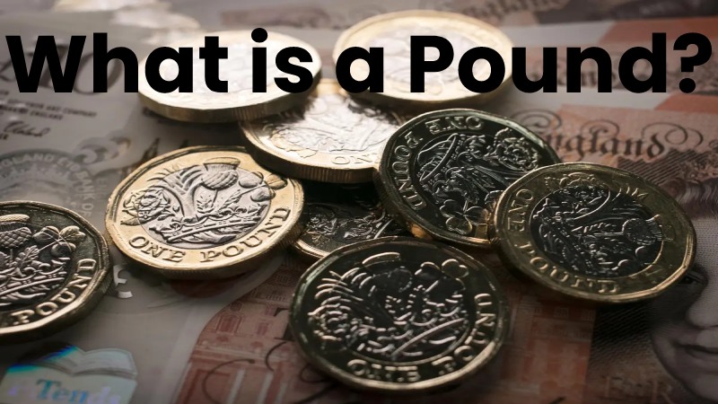What is a Pound?