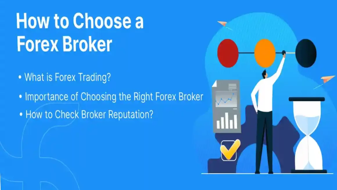How to finding the best and most reliable forex brokers?