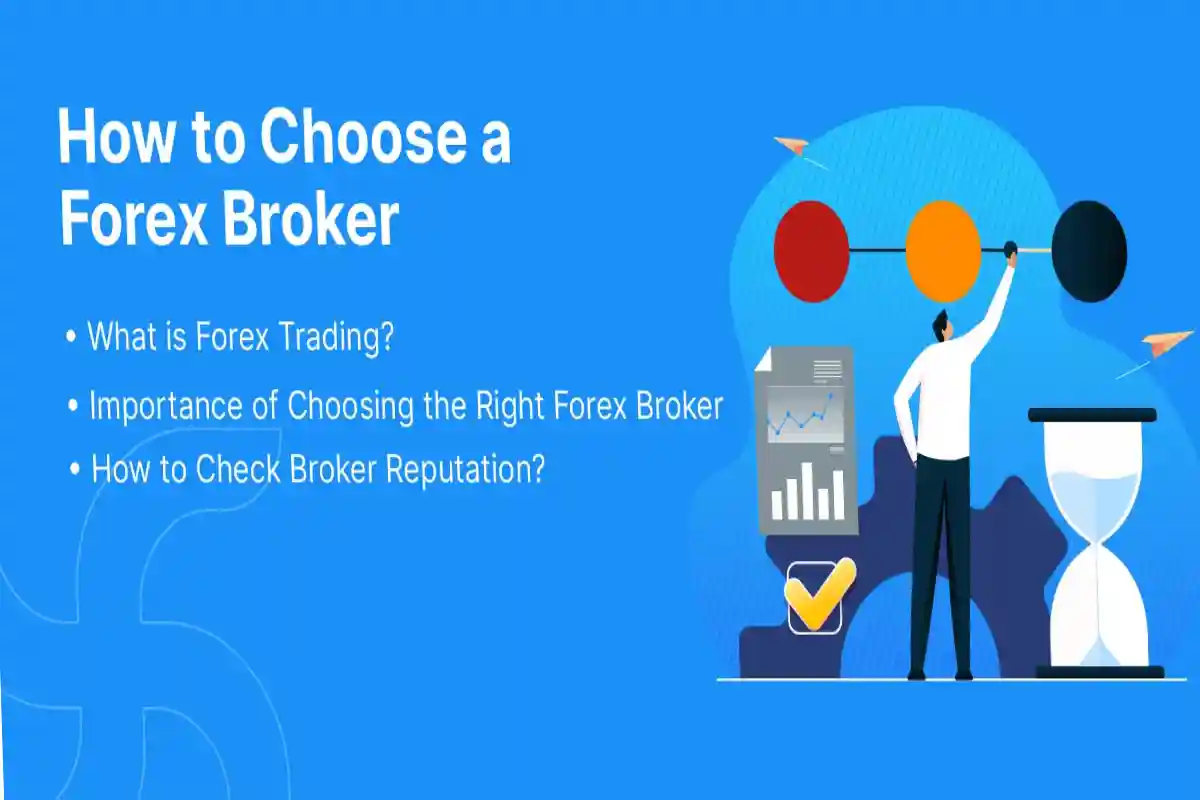 How to finding the best and most reliable forex brokers_