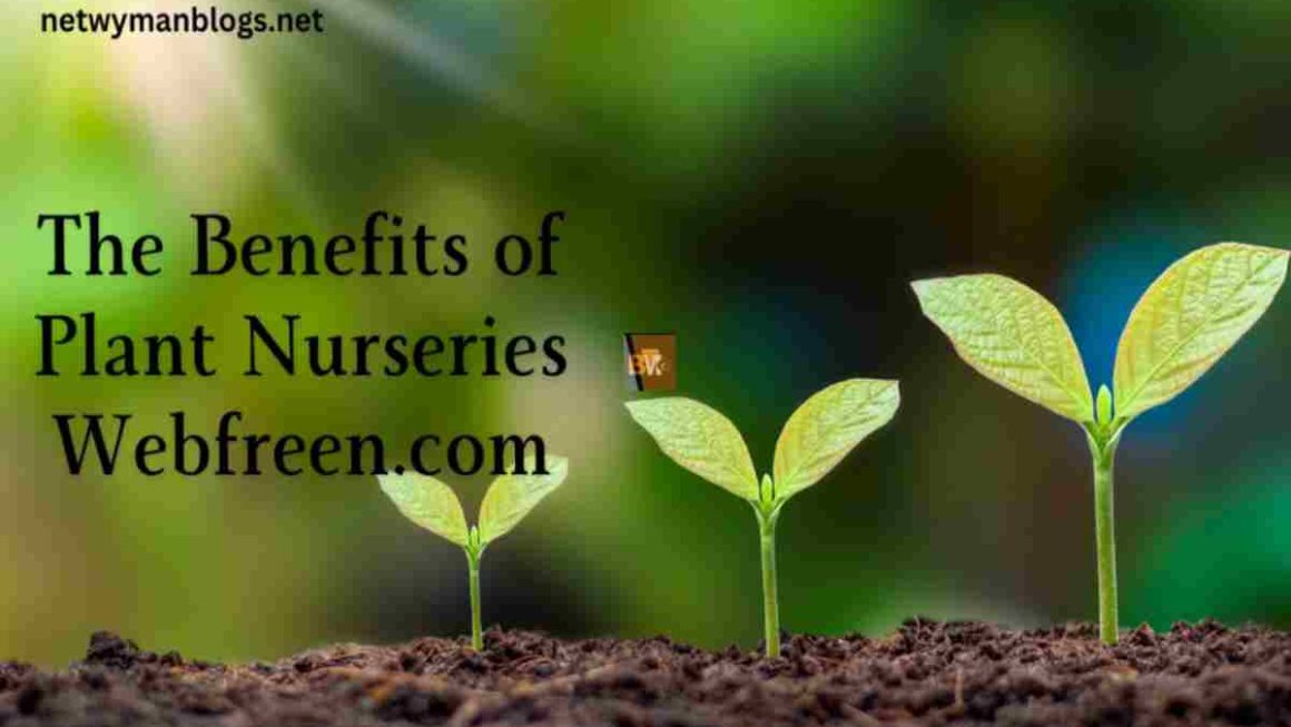The Benefits of Plant Nurseries – Webfreen.com